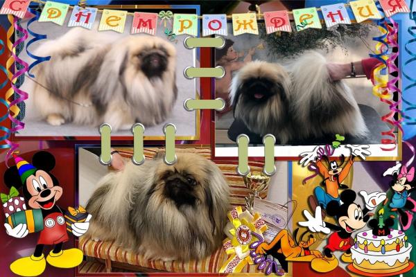 Прикрепленное изображение: 1eus9zRs_1wU38H1HfOtrxhR00U1k4K2Gh3rTjo-VtSFUs7AGlOghHQi5czBLu02I5gR0Qg1Cx0MhCAQrUH3tf3p.jpg